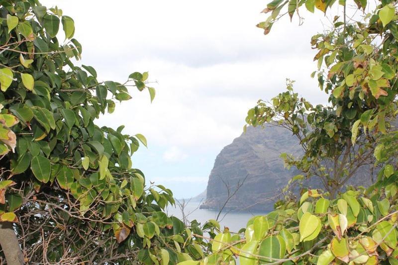 Seaview Lejlighed Acantilado de los Gigantes Eksteriør billede